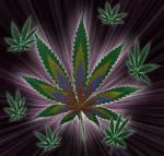 mov� alr nou ka smoke